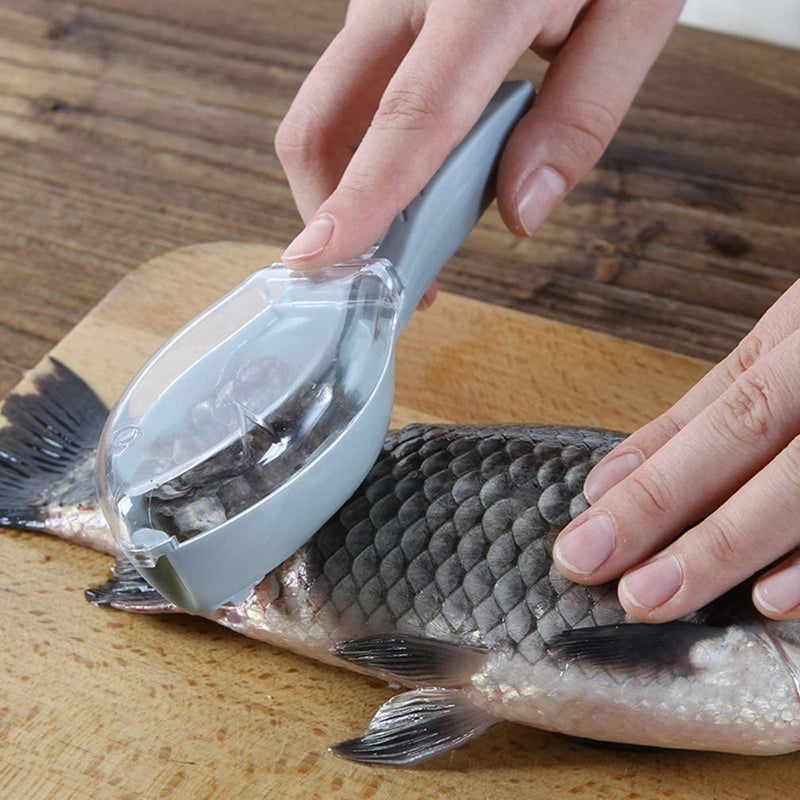 Clear Cover Fish Scaler  قشارة السمك ذات الغطاء الشفاف
